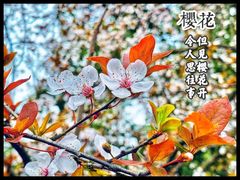-西湖风景区-江洋畈生态公园