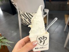 -野人先生Gelato(上海长宁龙之梦店)