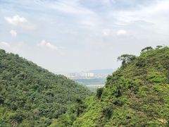 -南海湾森林生态园
