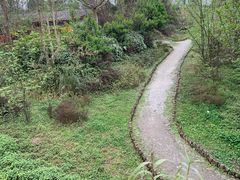 -桤木河湿地公园