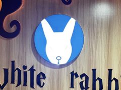 -白兔子密室(长寿路店)