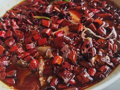 -陈麻婆豆腐(旗舰店)