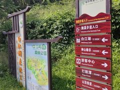 -广州白江湖森林公园