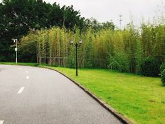 -南沙蒲洲花园