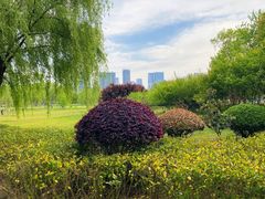 -滨湖塘西河公园