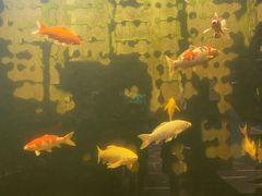 -弘安丽水温泉酒店