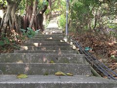 -小南山公园
