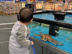 -麦德龙(郑东店)