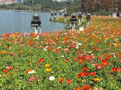 -顺峰山公园