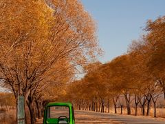 -野鸭湖国家湿地公园