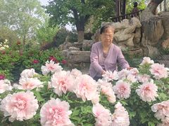 -石家庄市植物园