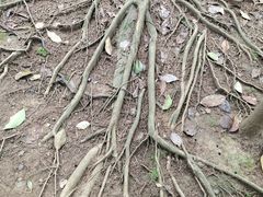 -梦姑塘文化公园