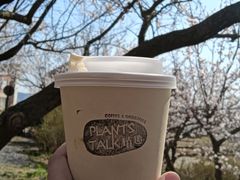 -北马山庄植趣咖啡
