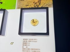 -中华赏石园