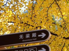 -灵谷景区