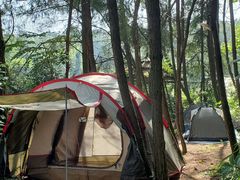 -重庆雨台山风景区