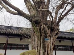 -苏州文庙(姑苏区)