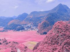 -万峰林风景区