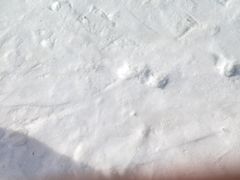 -蓟县盘山滑雪场
