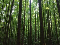 -山王坪喀斯特国家生态公园