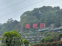 -枇杷园食为鲜火锅(南山店)