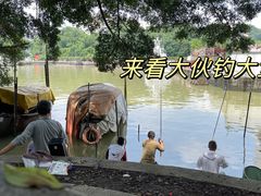 -长洲岛