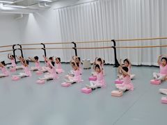 -中央芭蕾舞团·中芭艺蕾(酒仙桥明星校区)