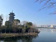 -洋湖国家湿地公园