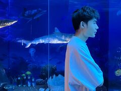 -广东中医药博物馆
