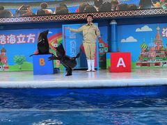 -成都浩海立方海洋公园