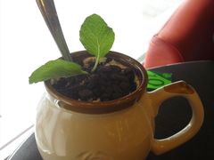 盆栽奶茶-仙踪林(北展店)