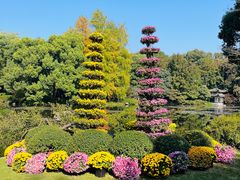 -杭州植物园