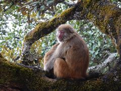 -丽江泸沽湖景区
