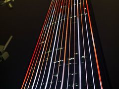-瑞吉酒店·The Drawing Room闲逸廊·云端下午茶·夜奢Whiskey