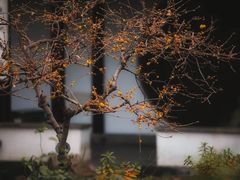 -太平天国历史博物馆(瞻园)
