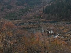 -九寨沟-树正沟