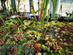 -国家植物园南园