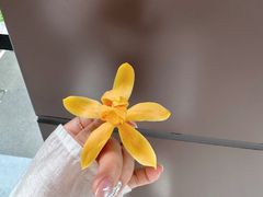 -华凌山庄·隐湖栖