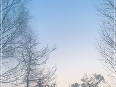 -尚庄度假村·庭台树下·户外烧烤·团建CS·轰趴营地(上庄水库店)
