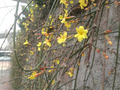 -彤德莱(青岛人民路店)