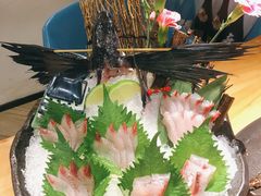 -深蓝金枪·深海鱼刺身(香洲店)