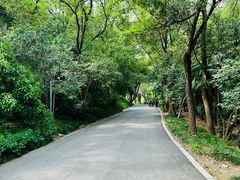 -蜀冈西峰生态公园