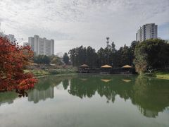 -圩墩遗址公园