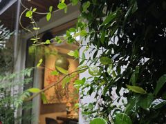-花锦堂·隐庐