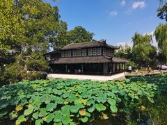 -鑫震源·苏式大虾生煎(山塘街店)