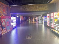 -新影联·华谊兄弟影院(望京店)