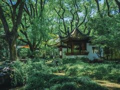 -上海醉白池公园