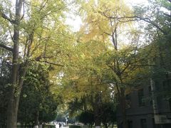 -四川大学(华西校区)