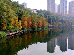 -重庆彩云湖湿地公园