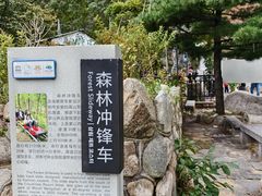-沂蒙山旅游区云蒙景区(蒙山国家森林公园)